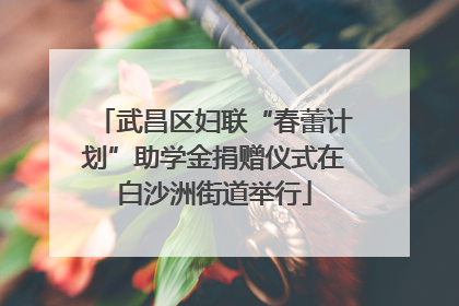武昌区妇联“春蕾计划”助学金捐赠仪式在白沙洲街道举行