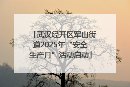 武汉经开区军山街道2025年“安全生产月”活动启动