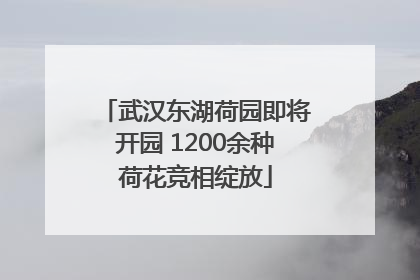 武汉东湖荷园即将开园 1200余种荷花竞相绽放