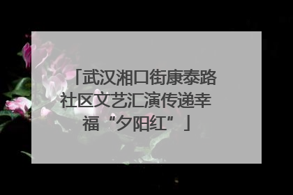 武汉湘口街康泰路社区文艺汇演传递幸福“夕阳红”