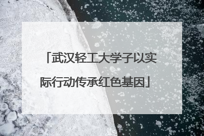 武汉轻工大学子以实际行动传承红色基因