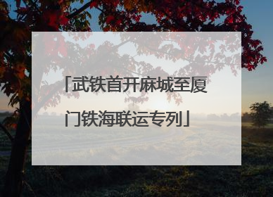 武铁首开麻城至厦门铁海联运专列