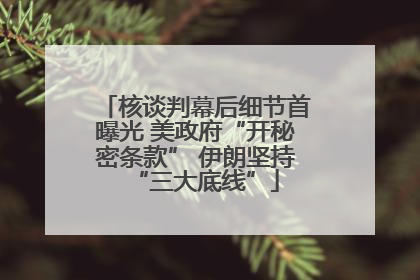 核谈判幕后细节首曝光 美政府“开秘密条款” 伊朗坚持“三大底线”