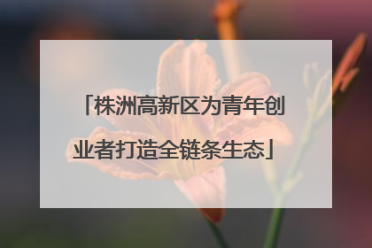 株洲高新区为青年创业者打造全链条生态