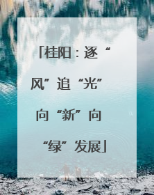 桂阳：逐“风”追“光” 向“新”向“绿”发展