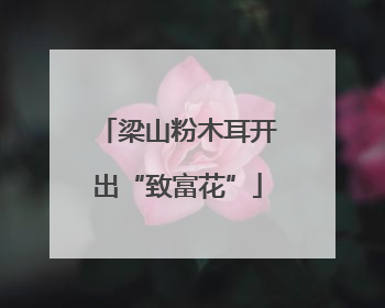 梁山粉木耳开出“致富花”