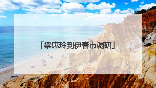 梁惠玲到伊春市调研