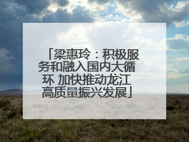 梁惠玲：积极服务和融入国内大循环 加快推动龙江高质量振兴发展