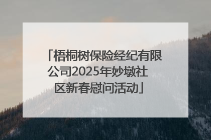 梧桐树保险经纪有限公司2025年妙墩社区新春慰问活动