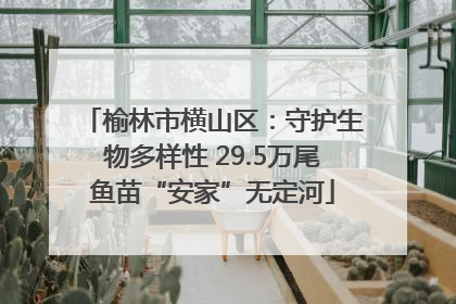 榆林市横山区：守护生物多样性 29.5万尾鱼苗“安家”无定河