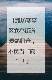 潍坊寒亭区寒亭街道麦熟归仓，不负当“夏”！