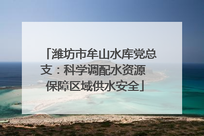 潍坊市牟山水库党总支：科学调配水资源 保障区域供水安全