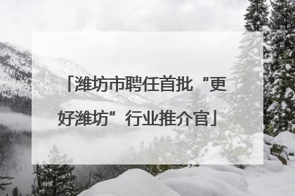 潍坊市聘任首批“更好潍坊”行业推介官