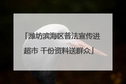 潍坊滨海区普法宣传进超市 千份资料送群众