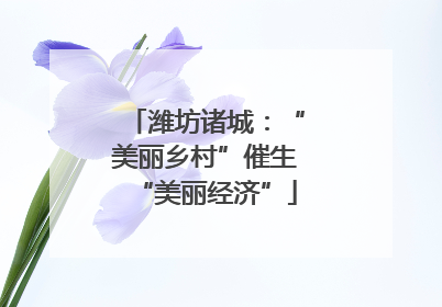 潍坊诸城：“美丽乡村”催生“美丽经济”