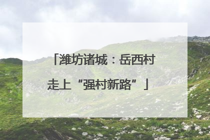 潍坊诸城：岳西村走上“强村新路”
