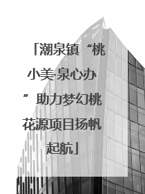 潮泉镇“桃小美·泉心办”助力梦幻桃花源项目扬帆起航