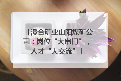 澄合矿业山阳煤矿公司：岗位“大串门”，人才“大交流”