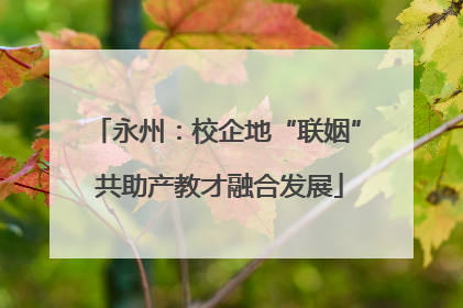 永州：校企地“联姻” 共助产教才融合发展