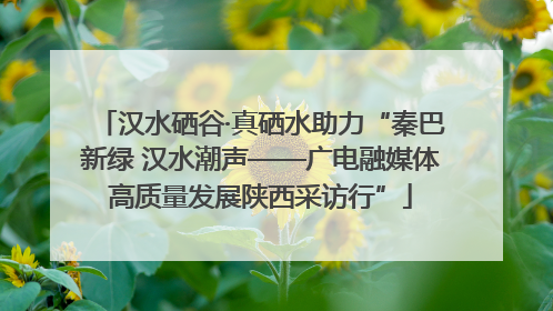 汉水硒谷·真硒水助力“秦巴新绿 汉水潮声——广电融媒体高质量发展陕西采访行”