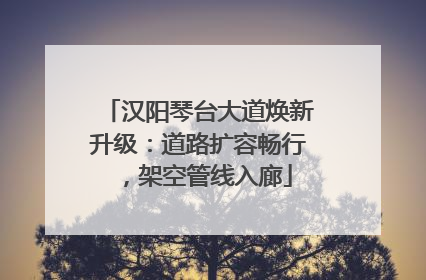 汉阳琴台大道焕新升级：道路扩容畅行，架空管线入廊