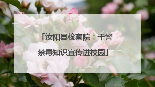 汝阳县检察院：干警禁毒知识宣传进校园
