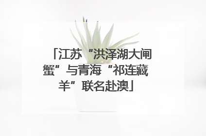 江苏“洪泽湖大闸蟹”与青海“祁连藏羊”联名赴澳