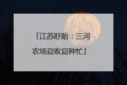 江苏盱眙：三河农场夏收夏种忙