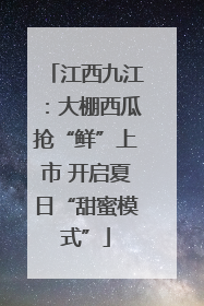 江西九江：大棚西瓜抢“鲜”上市 开启夏日“甜蜜模式”