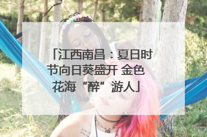 江西南昌：夏日时节向日葵盛开 金色花海“醉”游人