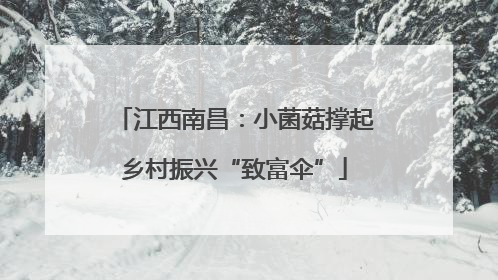 江西南昌：小菌菇撑起乡村振兴“致富伞”
