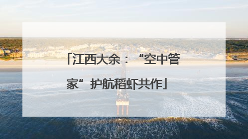江西大余：“空中管家”护航稻虾共作