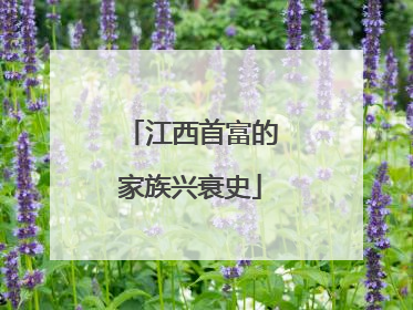 江西首富的家族兴衰史