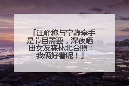汪峰称与宁静牵手是节目需要，深夜晒出女友森林北合照：我俩好着呢！