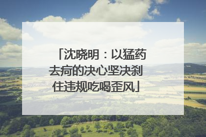 沈晓明：以猛药去疴的决心坚决刹住违规吃喝歪风