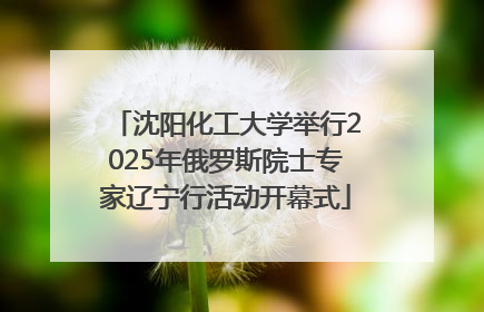 沈阳化工大学举行2025年俄罗斯院士专家辽宁行活动开幕式