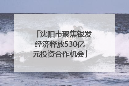 沈阳市聚焦银发经济释放530亿元投资合作机会