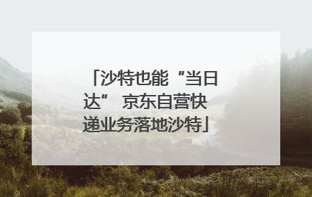 沙特也能“当日达” 京东自营快递业务落地沙特