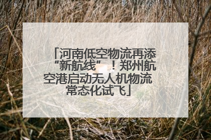 河南低空物流再添“新航线”！郑州航空港启动无人机物流常态化试飞