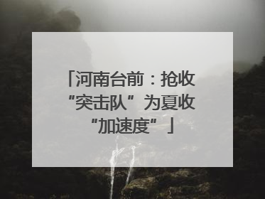 河南台前：抢收“突击队”为夏收“加速度”
