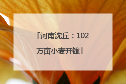 河南沈丘：102 万亩小麦开镰