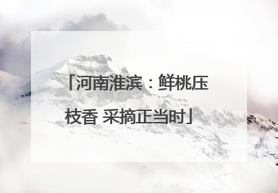 河南淮滨：鲜桃压枝香 采摘正当时