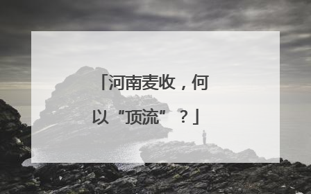 河南麦收，何以“顶流”？