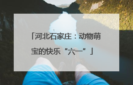 河北石家庄：动物萌宝的快乐“六一”