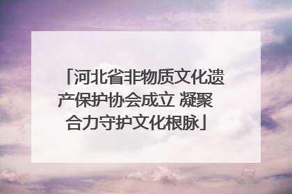 河北省非物质文化遗产保护协会成立 凝聚合力守护文化根脉