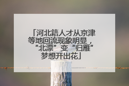 河北籍人才从京津等地回流现象明显，“北漂”变“归雁” 梦想开出花