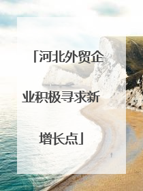 河北外贸企业积极寻求新增长点