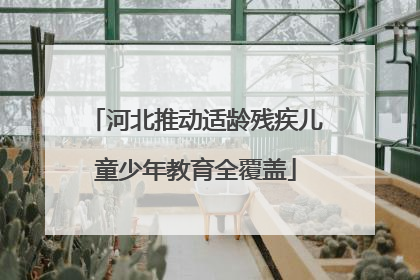 河北推动适龄残疾儿童少年教育全覆盖