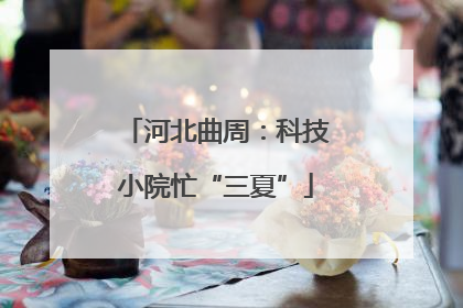 河北曲周：科技小院忙“三夏”