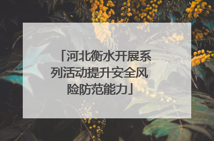 河北衡水开展系列活动提升安全风险防范能力